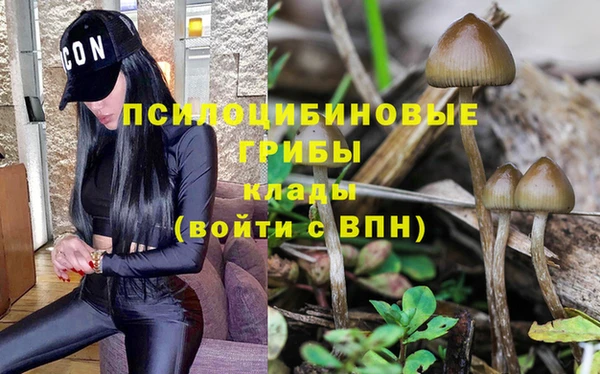 МДМА Мегион